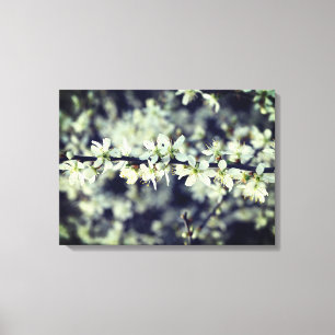 Spring Blosems Wrapped Canvas