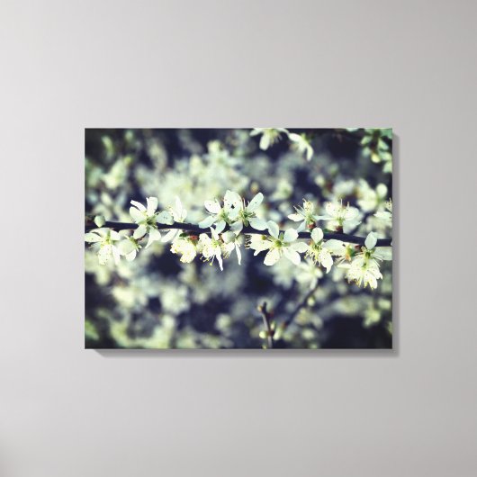 Spring Blosems Wrapped Canvas Afdruk (Voorkant)