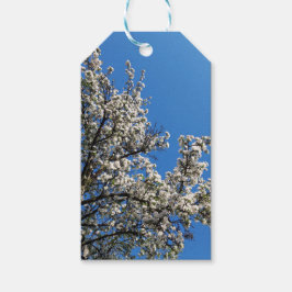 Spring Blossom Apple-boom Cadeaulabel