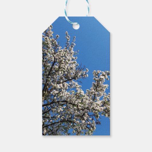 Spring Blossom Apple-boom Cadeaulabel (Voorkant)