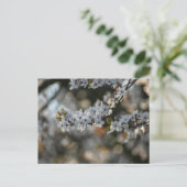 Spring Blossom Briefkaart (Staand voorkant)