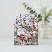 Spring Blossom Briefkaart (Staand voorkant)