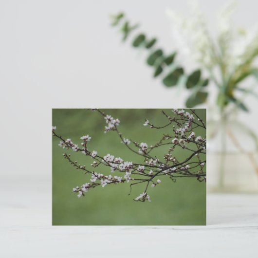 Spring Blossom Briefkaart (Staand voorkant)