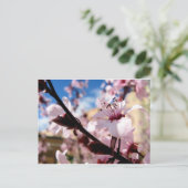 Spring Blossom Briefkaart (Staand voorkant)