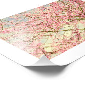 Spring Blossom  Foto Afdruk (Hoek)