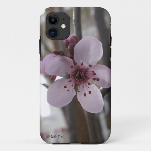 Spring Blossom iPhone 5 Hoesje (Achterkant)