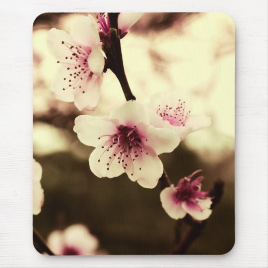 Spring Blossom Mousepad Muismat (Voorkant)