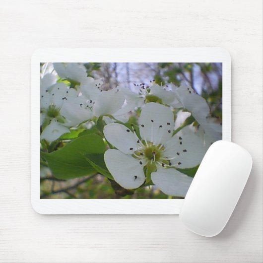 Spring Blossom Muismat (Met muis)
