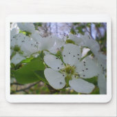 Spring Blossom Muismat (Voorkant)