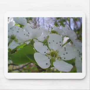 Spring Blossom Muismat