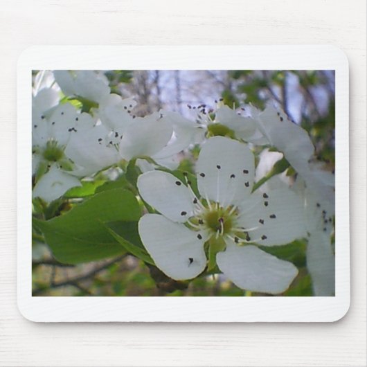 Spring Blossom Muismat (Voorkant)