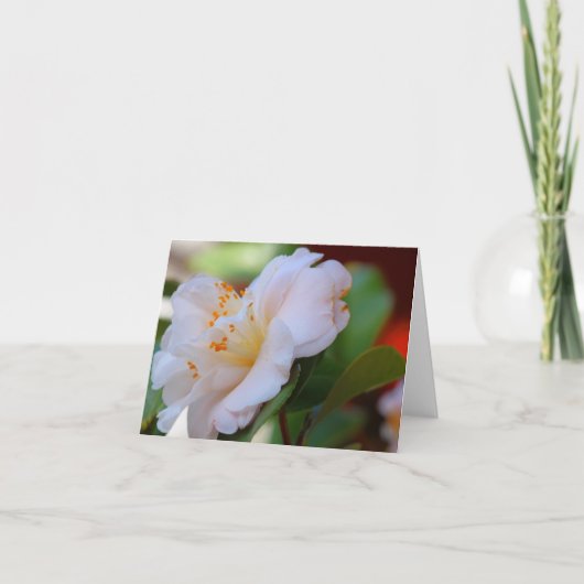 Spring Blossom Note Cards Kaart (Voorkant)