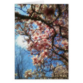 Spring Blossom Notecard (Voorkant)