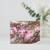 Spring Blossom op Zion Rocks Briefkaart (Staand voorkant)