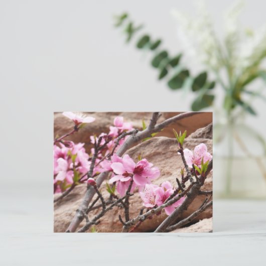 Spring Blossom op Zion Rocks Briefkaart (Staand voorkant)