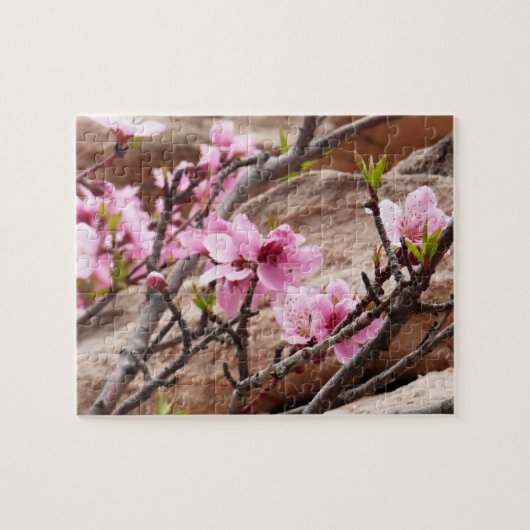 Spring Blossom op Zion Rocks Legpuzzel (Horizontaal)
