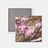Spring Blossom op Zion Rocks Magneet (Voorkant / Achterkant)