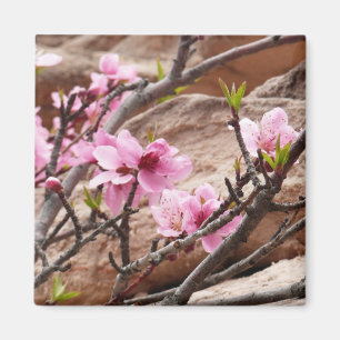Spring Blossom op Zion Rocks Magneet