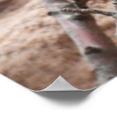 Spring Blossom op Zion Rocks Poster (Hoek)