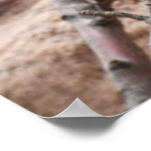 Spring Blossom op Zion Rocks Poster (Hoek)