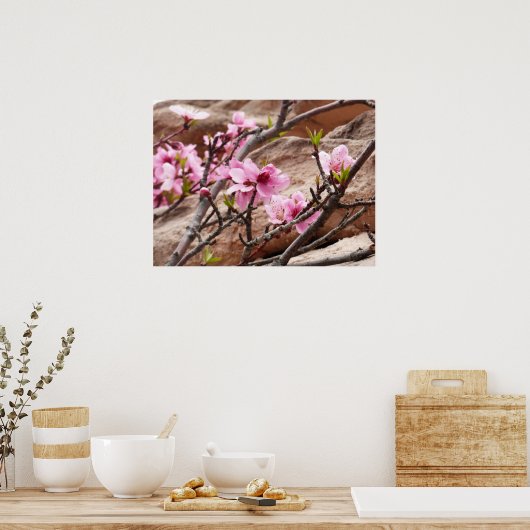 Spring Blossom op Zion Rocks Poster (Keuken)
