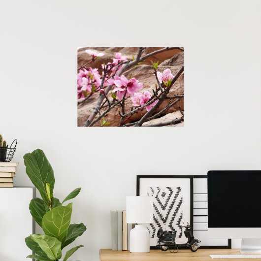 Spring Blossom op Zion Rocks Poster (Thuiskantoor)