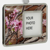 Spring Blossom op Zion Rocks Verzilverd Omlijst Ornament (Rechts)