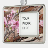 Spring Blossom op Zion Rocks Verzilverd Omlijst Ornament (Links)