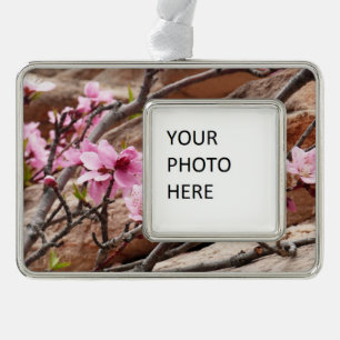 Spring Blossom op Zion Rocks Verzilverd Omlijst Ornament