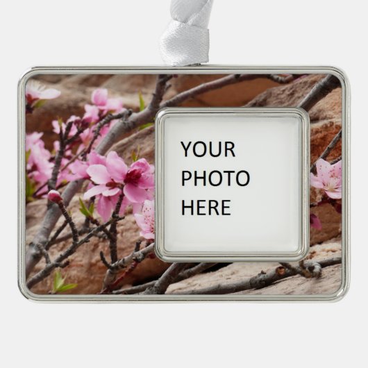 Spring Blossom op Zion Rocks Verzilverd Omlijst Ornament (Voorkant)