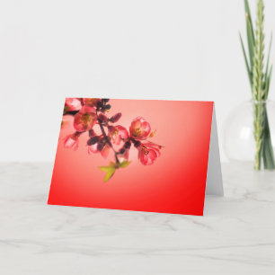 Spring blossom over red background feestdagen kaart