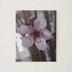 Spring Blossom Puzzle Legpuzzel