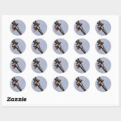 Spring Blossom Stickers (Vel)