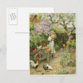 Spring Blossom van de peren Annual 1902 Briefkaart (Voorkant / Achterkant)
