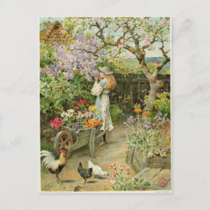 Spring Blossom van de peren Annual 1902 Briefkaart