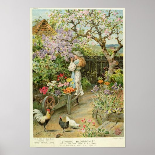 Spring Blossom van de peren Annual 1902 Poster (Voorkant)