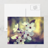 Spring Blossom-vintage Briefkaart (Voorkant / Achterkant)