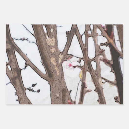 Spring Blossom Wrapping Paper Flat Sheet Set van 3 (Voorkant)