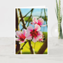 Spring Blossoms Blank Card
