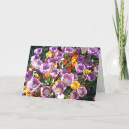 Spring Blossoms One Feestdagen Kaart