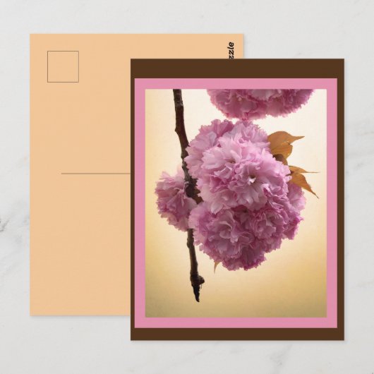 Spring Blossoms Postcard Briefkaart (Voorkant / Achterkant)