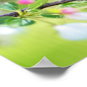 Spring Blue Bird op Cherry Tree met bloesems Poster (Hoek)