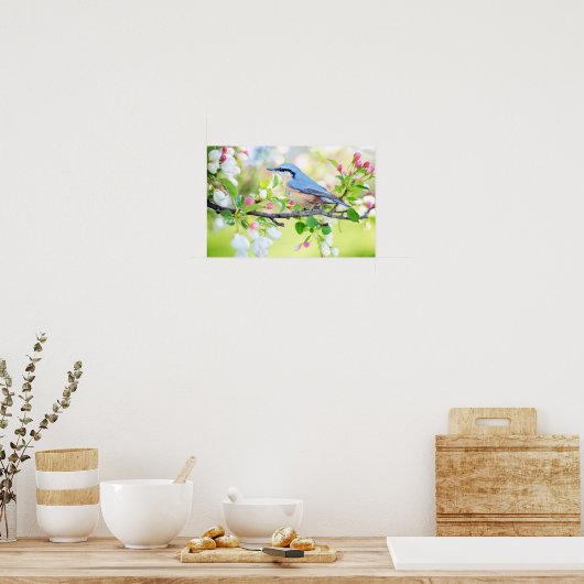Spring Blue Bird op Cherry Tree met bloesems Poster (Keuken)