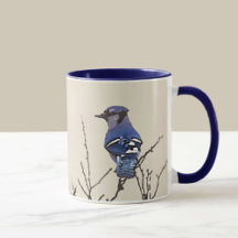 Spring Blue Jay Fine Art voor vogelovers