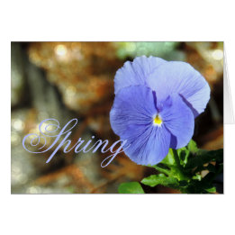 Spring Blue Pansy Any Occasion Kaart