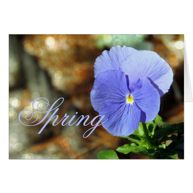Spring Blue Pansy Any Occasion Kaart (Voorkant Horizontaal)