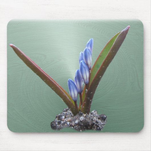 Spring Blue swirl ~ mousepad Muismat (Voorkant)