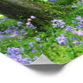 Spring Bluebell Forest Print (Hoek)