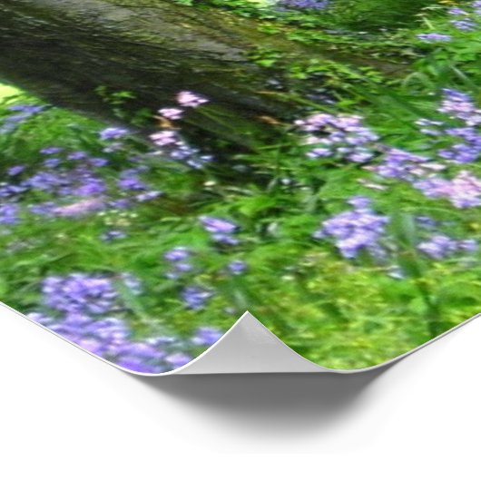 Spring Bluebell Forest Print (Hoek)