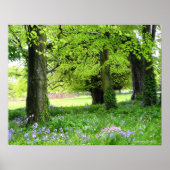 Spring Bluebell Forest Print (Voorkant)